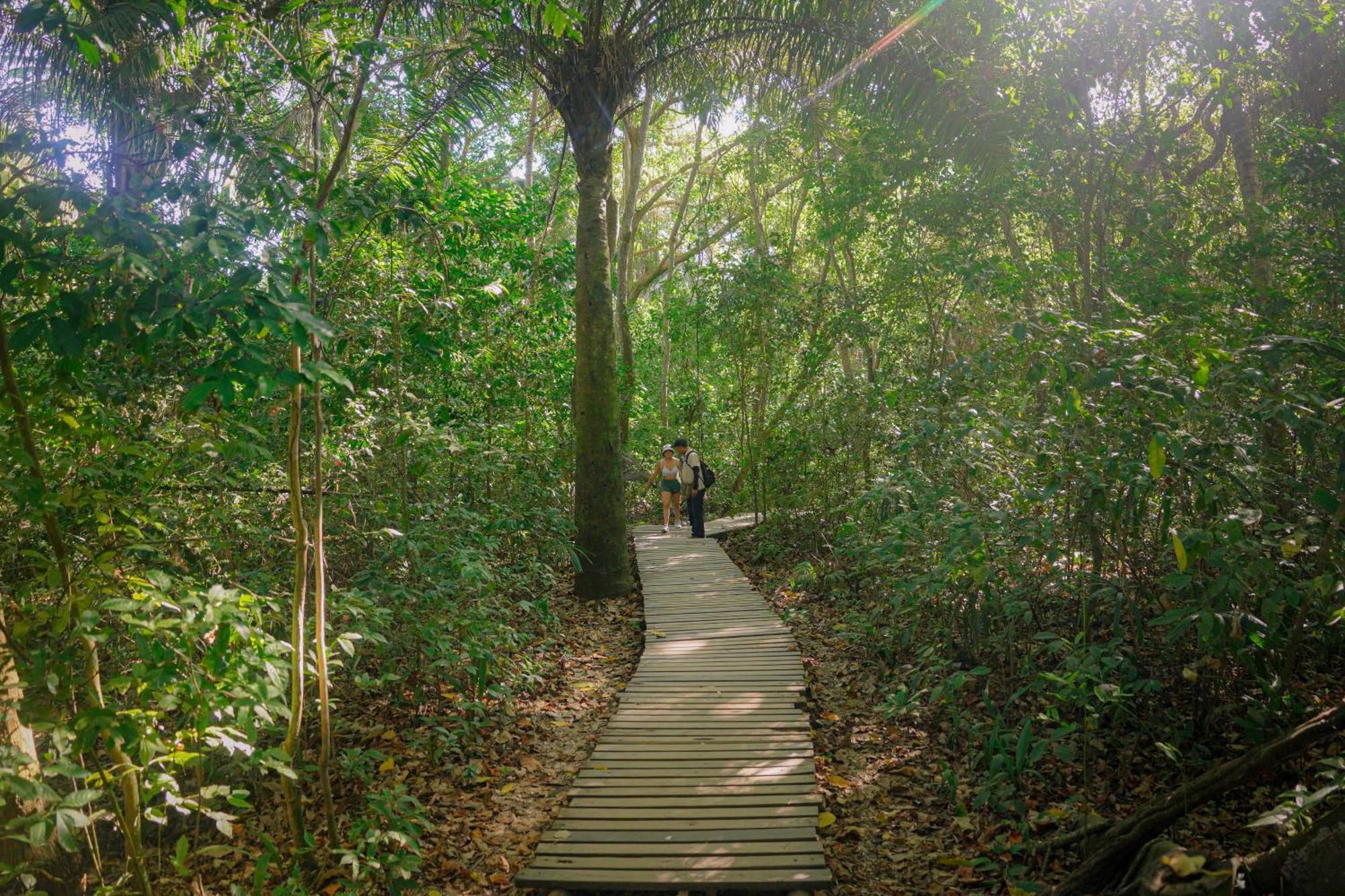 Ecohotel Yachay Tayrona Dentro Del Parque Tayrona El Zaino Exterior foto