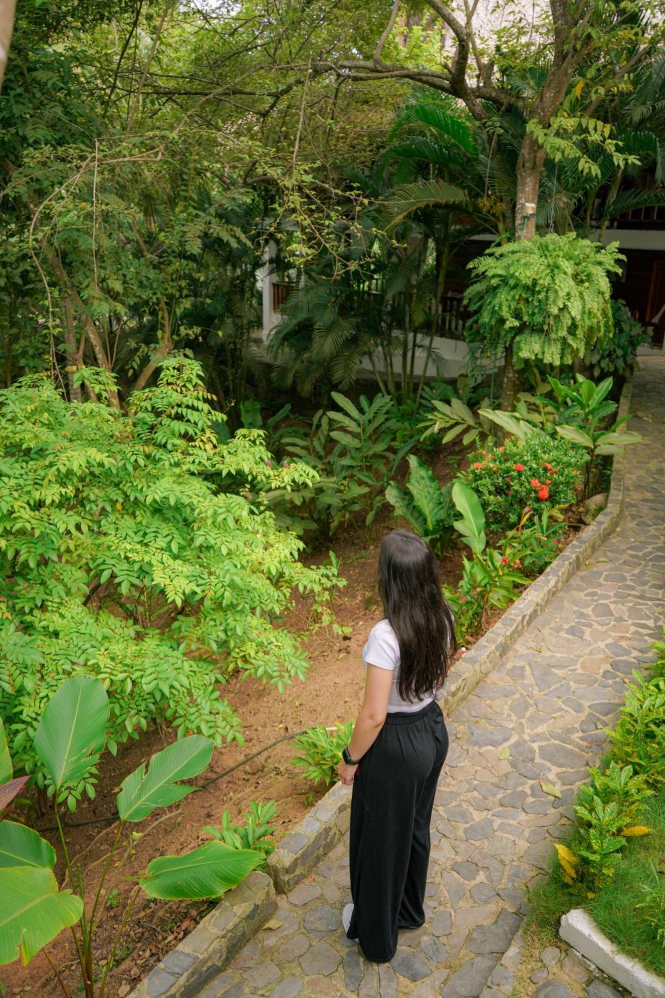 Ecohotel Yachay Tayrona Dentro Del Parque Tayrona El Zaino Exterior foto