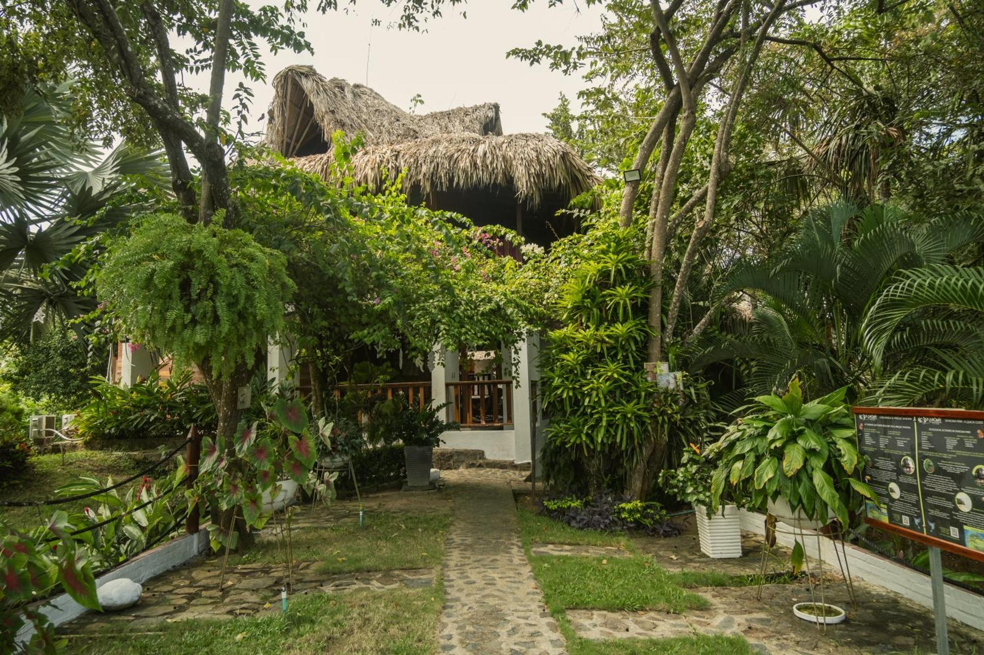 Ecohotel Yachay Tayrona Dentro Del Parque Tayrona El Zaino Exterior foto